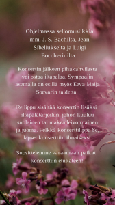 Pääsylippu klo 20 musiikki-iltaan